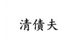 巢湖为什么选择专业追讨公司来处理您的债务纠纷？