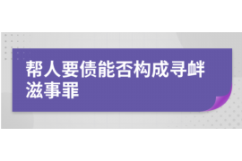 巢湖巢湖的要账公司在催收过程中的策略和技巧有哪些？